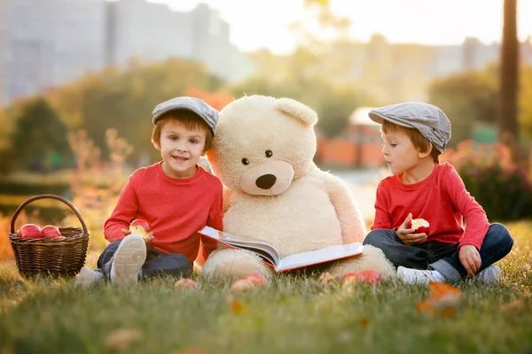 Két imádnivaló kis fiú barátjával, mackó, a park — Stock Fotó