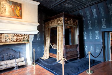 Chenonceaux, Fransa - 29 Ağustos 2015: Chateau de Chenonceaux ro