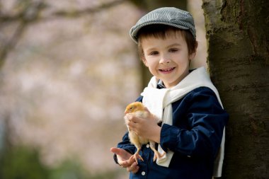 Küçük kızlarla oynayan sevimli sevimli okul öncesi çocuk, çocuk, 