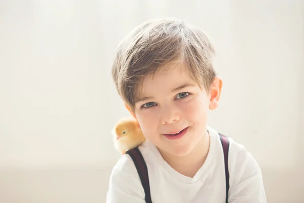 Młody piękny prechool chłopiec, grając z małego noworodka piskląt — Zdjęcie stockowe