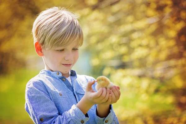 Dolce bambino carino, bambino in età prescolare, giocando con il piccolo chi appena nato — Foto Stock