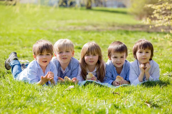 Grupo de niños preescolares, amigos y hermanos, jugando en el pa —  Fotos de Stock