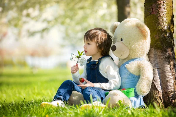 Cute little boy, eating strawberry in the park on a spring sunny — Stock Photo, Image