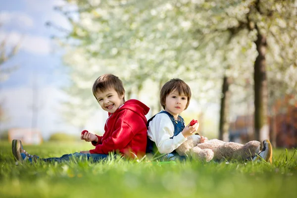 Twee schattige kleine kinderen, jongen brothers, eten aardbei in de — Stockfoto