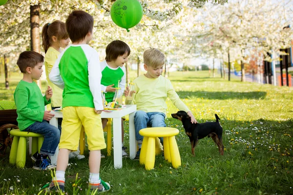 Crianças pré-escolares doces felizes, comemorando o quinto aniversário de cu — Fotografia de Stock