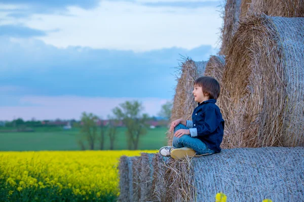 2 人の子供、男の子兄弟の上に座って、油糧種子の菜の花畑で、 — ストック写真