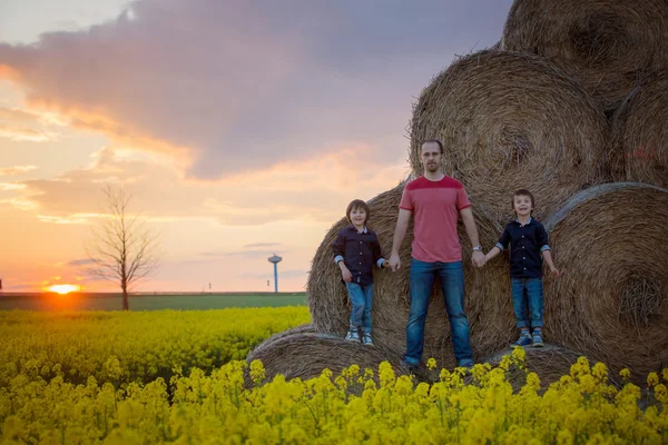 Pappa och två barn, pojke bröder i en oljeväxter rapsfält, sitter på en bal av höstackar, du tittar på solnedgången — Stockfoto