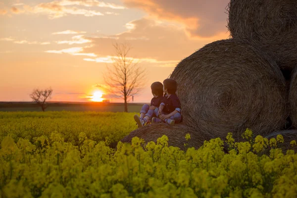 Deux enfants, des garçons frères dans un champ de colza, assis sur un — Photo