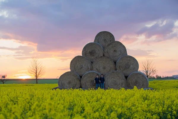 Two children, boy brothers in a oilseed rape field, sitting on a — Stock Photo, Image