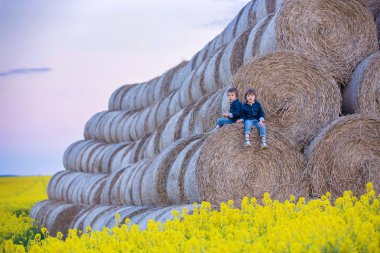 İki çocuk, erkek kardeşler oturan bir yağlı tohum tecavüz alanında bir
