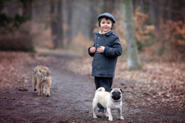 Ormandaki küçük evcil köpek ile oynayan sevimli küçük çocuk