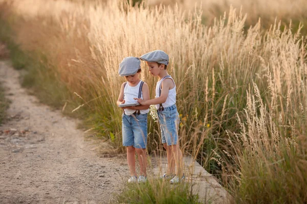 Twee mooie kleine kinderen, jongens, brothers in daisy veld op — Stockfoto