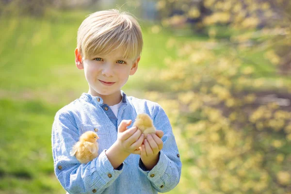 Dulce lindo niño, niño preescolar, jugando con poco chi recién nacido —  Fotos de Stock