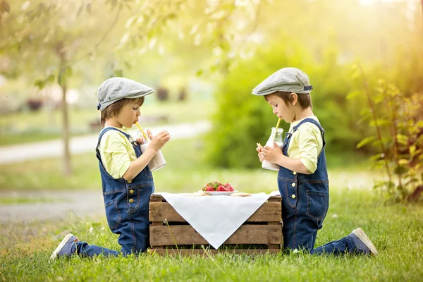 Duas crianças bonitas, irmãos meninos, comendo morangos e co — Fotografia de Stock