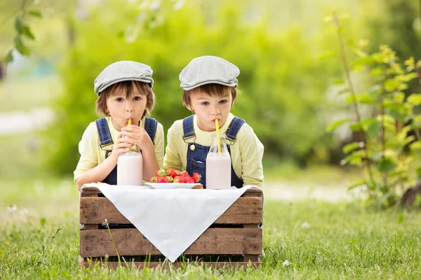 Two beautiful children, boy brothers, eating strawberries and co — Stock Photo, Image