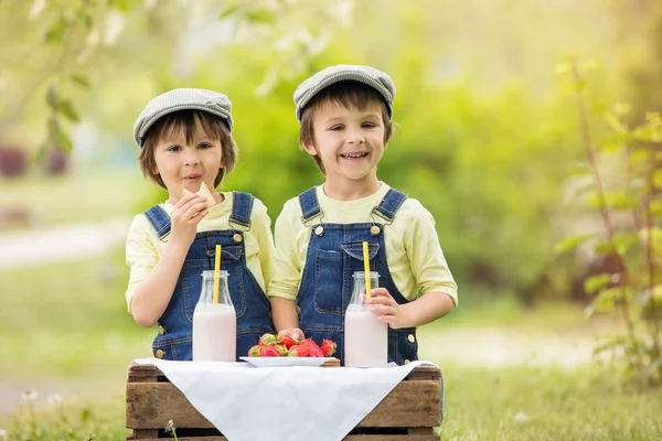 Two beautiful children, boy brothers, eating strawberries and co — Stock Photo, Image