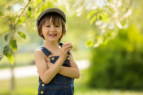 Leuke mooie kind, jongen, eten van aardbeien en in het park — Stockfoto