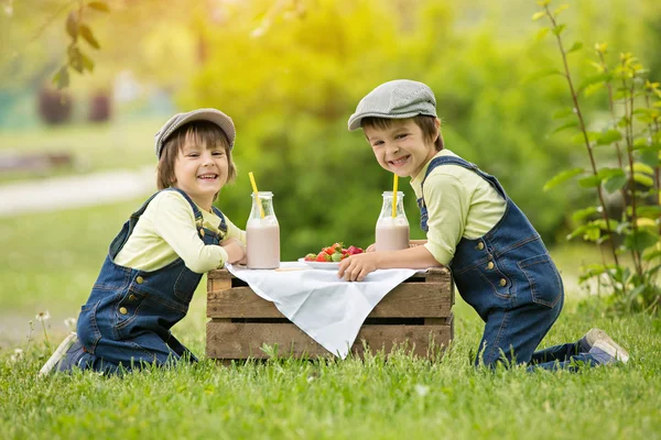 Two beautiful children, boy brothers, eating strawberries and co — Stock Photo, Image