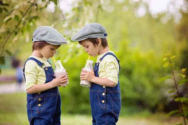 Zwei schöne Kinder, junge Brüder, essen Erdbeeren und Co — Stockfoto