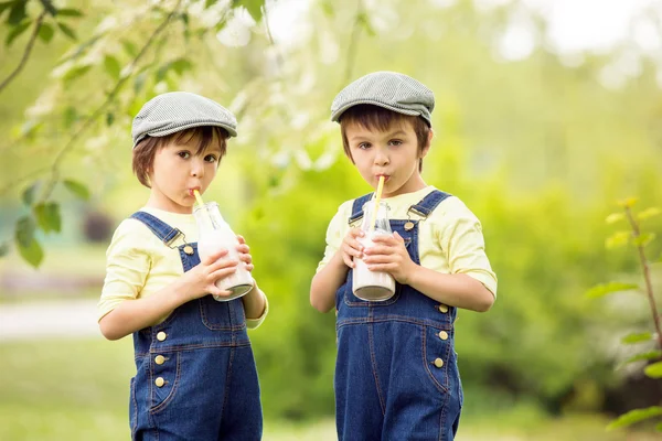 Két gyönyörű gyermek fiú testvér, eszik szamóca és a co — Stock Fotó