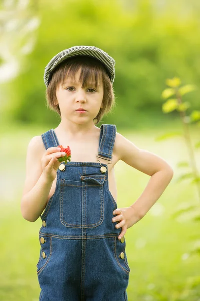 Niedliche schöne Kind, Junge, essen Erdbeeren und im Park — Stockfoto