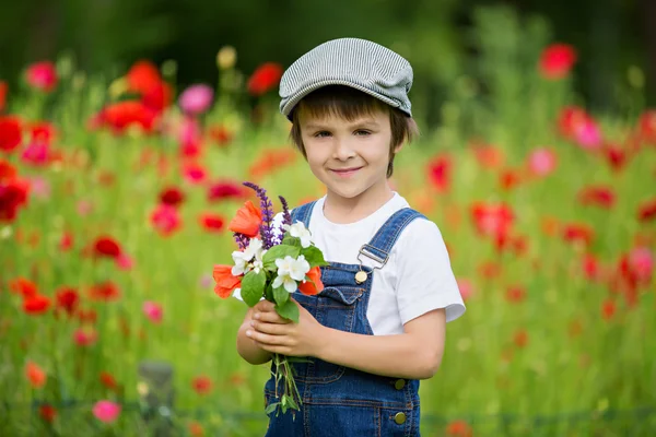 Cute preschool child in poppy field, holding a bouquet of wild f — Stock Photo, Image