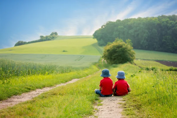 Due bambini in età prescolare, seduti nelle campagne, contemplando il — Foto Stock
