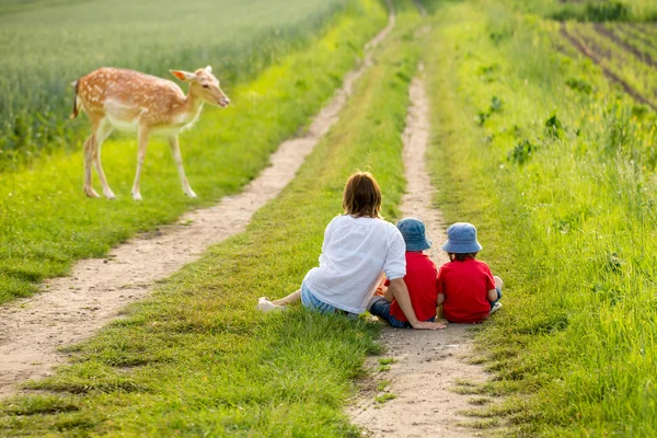 Молодая мать с двумя детьми наблюдает за молодым врагом — стоковое фото