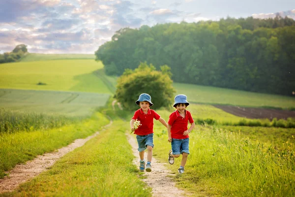 Adorable children, boy brothers, running in a field in the rural — Stock Photo, Image