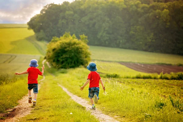 Чарівні діти, брати хлопчики, бігають на полі в сільській місцевості — стокове фото