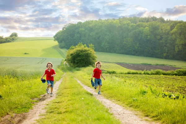 Чарівні діти, брати хлопчики, бігають на полі в сільській місцевості — стокове фото