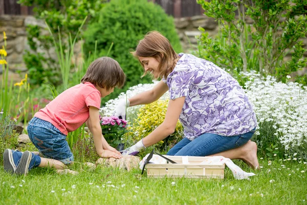 Mãe e filho jardinando juntos em seu pequeno jardim — Fotografia de Stock