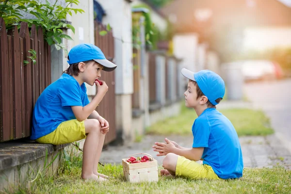 Két imádnivaló kis gyermek fiú testvér, eszik szamóca, — Stock Fotó