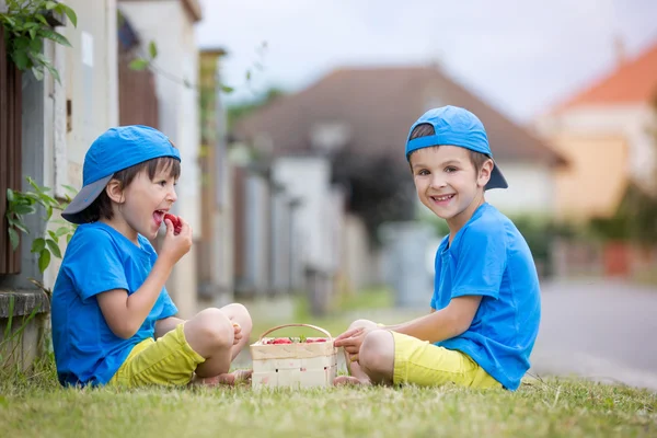 两个可爱的小孩，男孩兄弟吃草莓, — 图库照片