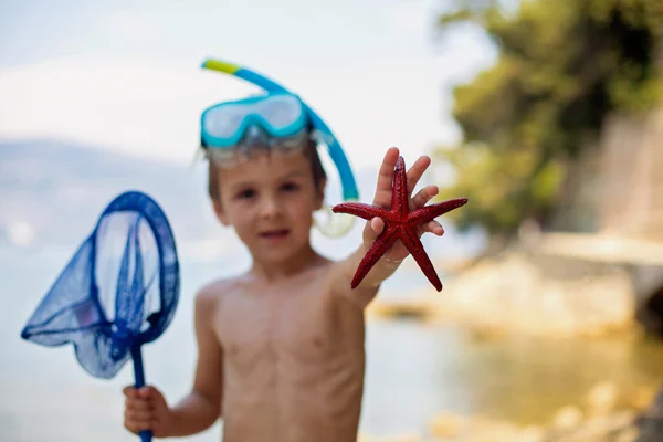 Petit garçon tenant rouge étoile de mer à cinq points dans ses mains sur la — Photo