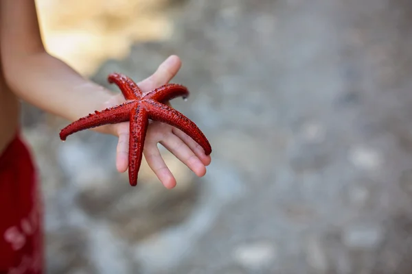 Petit garçon tenant une étoile de mer rouge à cinq points dans ses mains sur le b — Photo
