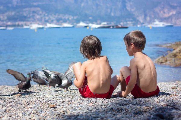Dos dulces niños, hermanos, palomas en la playa , — Foto de Stock