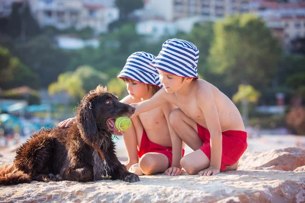Dos niños dulces, chicos, jugando con el perro en la playa —  Fotos de Stock