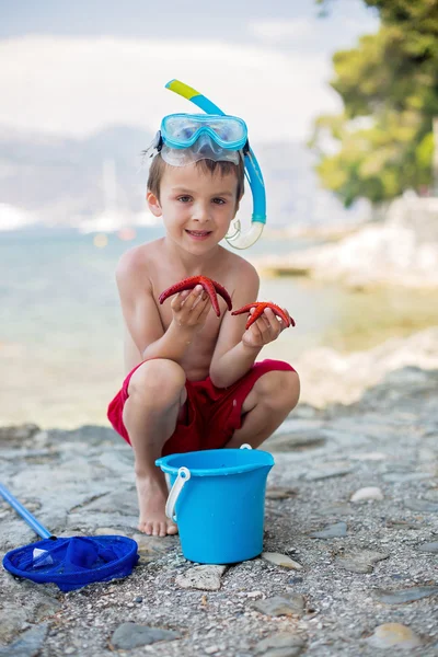 Niño pequeño sosteniendo cinco estrellas de mar de color rojo en sus manos en el b — Foto de Stock