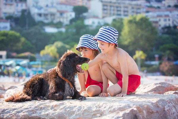 Dos niños dulces, chicos, jugando con el perro en la playa — Foto de Stock
