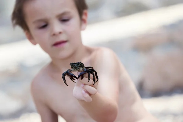 Garçon mignon, jouer avec petit crabe sur la plage — Photo