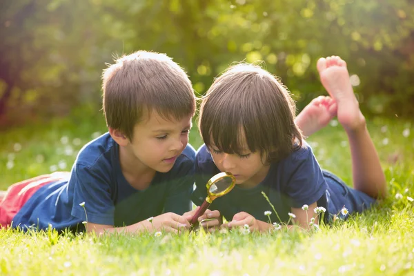 Mooie gelukkige kinderen, jongen broers, verkennen van de natuur met ma — Stockfoto