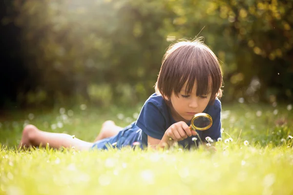 Beautiful happy child, boy, exploring nature with magnifying gla — Stock Photo, Image