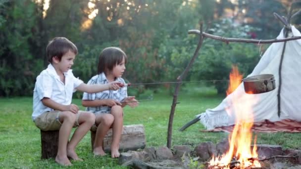 Duas crianças doces, irmãos meninos, acampando fora do verão ao pôr do sol, comendo batatas — Vídeo de Stock