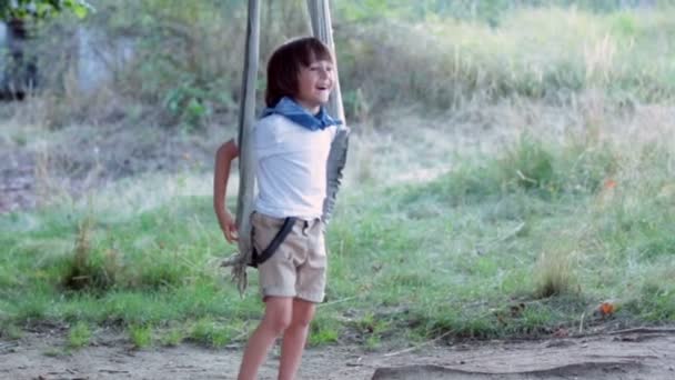 Dos niños, hermanos, divirtiéndose en un columpio en el patio trasero al atardecer — Vídeo de stock