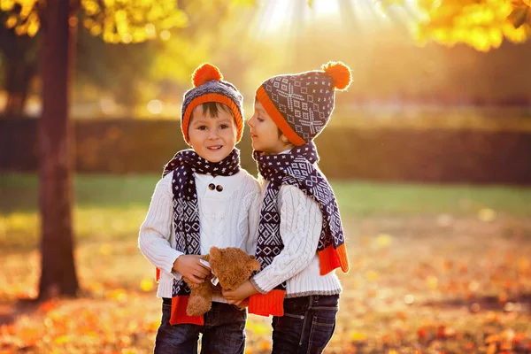 Прекрасные маленькие братья с плюшевым мишкой в парке осенью — стоковое фото