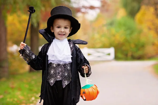Lindo chico en el parque, vestido de mago para Halloween —  Fotos de Stock