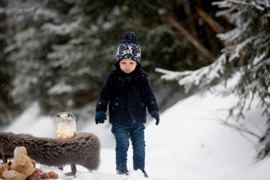 Karda oyuncak ayıyla oynayan tatlı çocuk, kış vakti. Küçük çocuk karlı bir günde oyuncaklarla oynuyor.