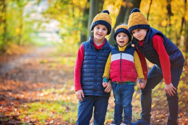 Tatlı çocuk, oğlum, güneşli bir sonbahar gününde ormanda oynuyor.