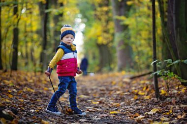 Tatlı çocuk, oğlum, güneşli bir sonbahar gününde ormanda oynuyor.